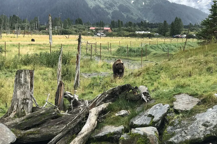 Alaska Wildlife Conservation Center, Anchorage