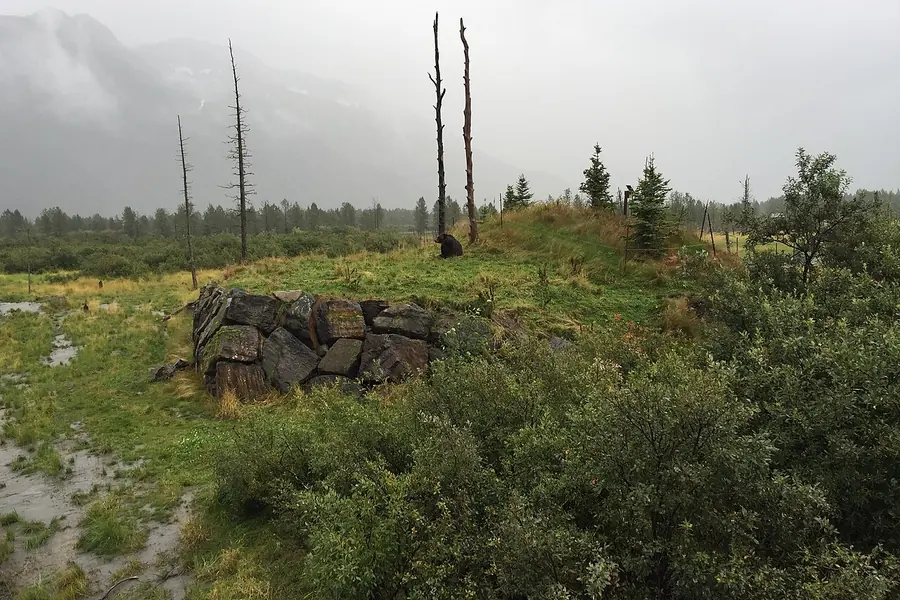 Alaska Wildlife Conservation Center, Anchorage