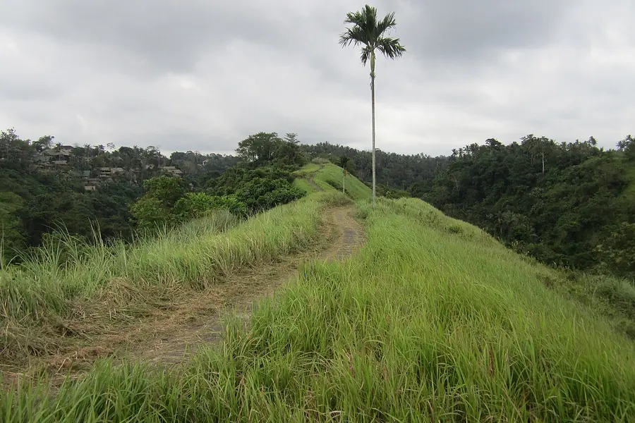 Campuhan Ridge Walk, Bali