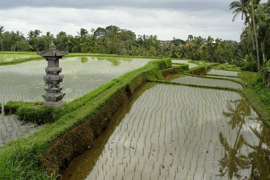 Campuhan Ridge Walk, Bali