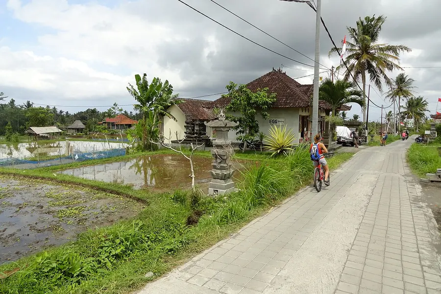 Campuhan Ridge Walk, Bali