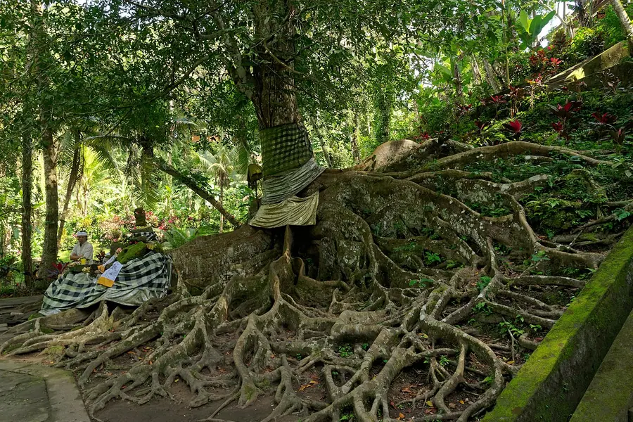 Goa Gajah, Bali