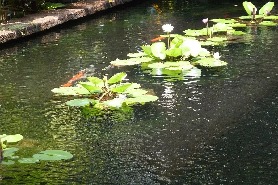 Jim Thompson House, Bangkok