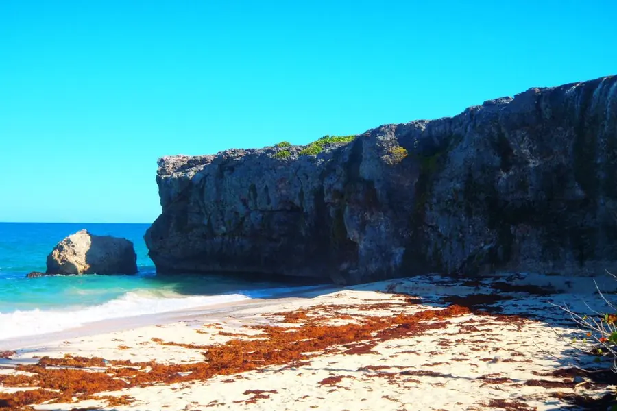 Bathsheba + Soup Bowl, Barbados