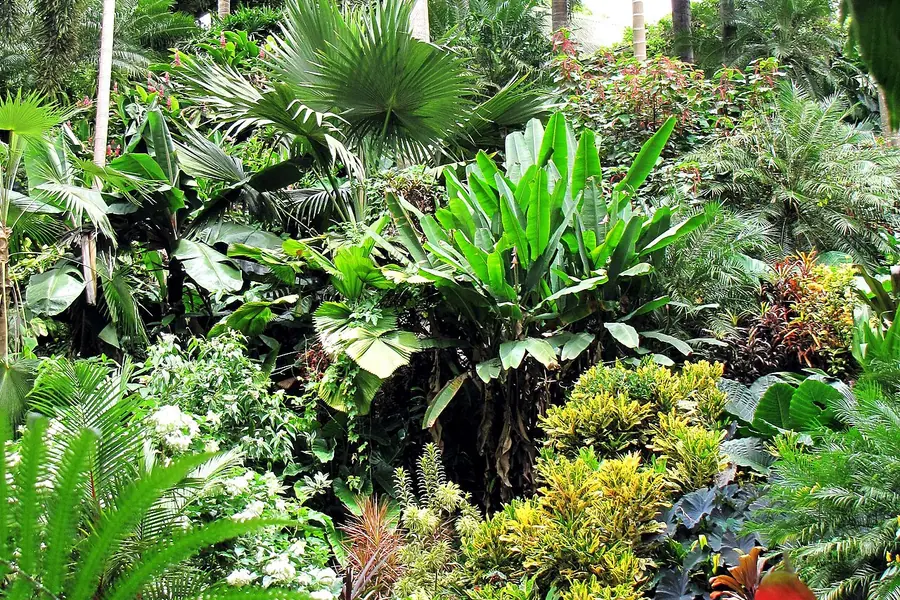 Hunte's Gardens, Barbados