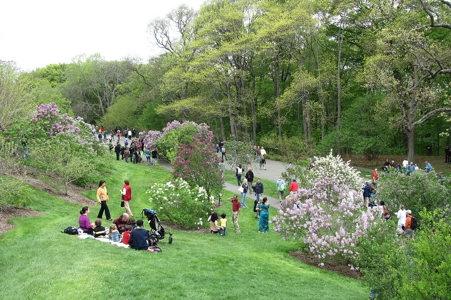 Arnold Arboretum, Jamaica Plain, Boston