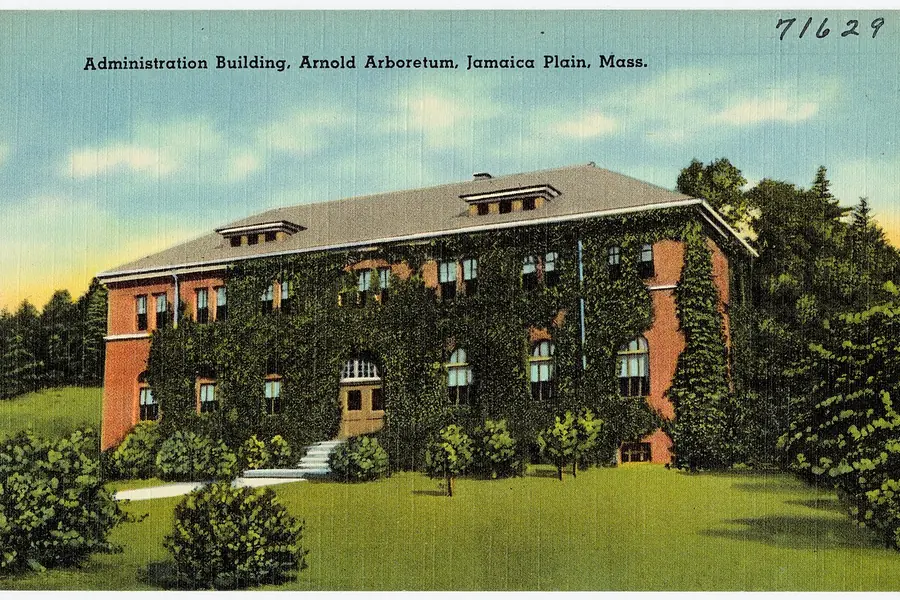 Arnold Arboretum, Jamaica Plain, Boston
