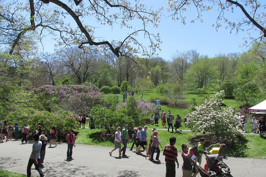 Arnold Arboretum, Jamaica Plain, Boston