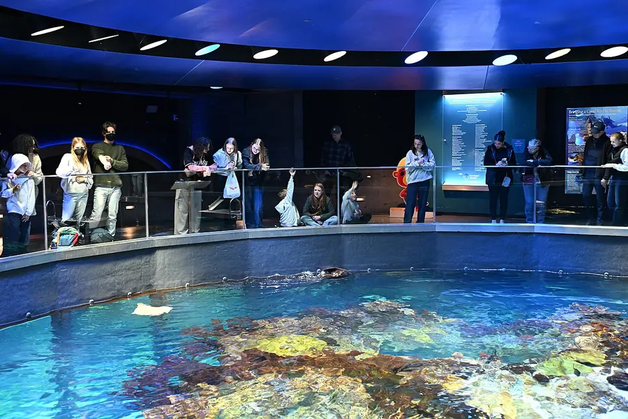 New England Aquarium, Boston