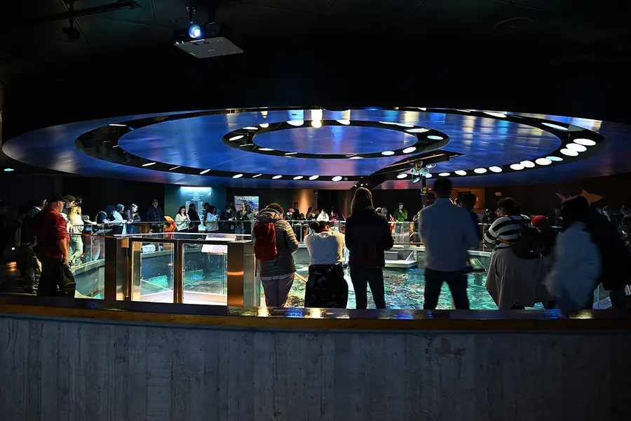 New England Aquarium, Boston