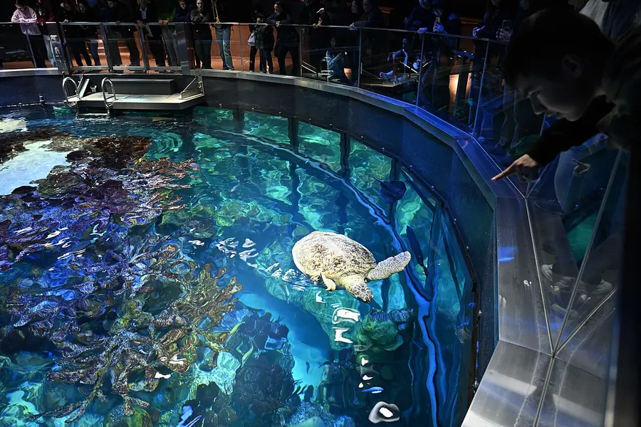 New England Aquarium, Boston