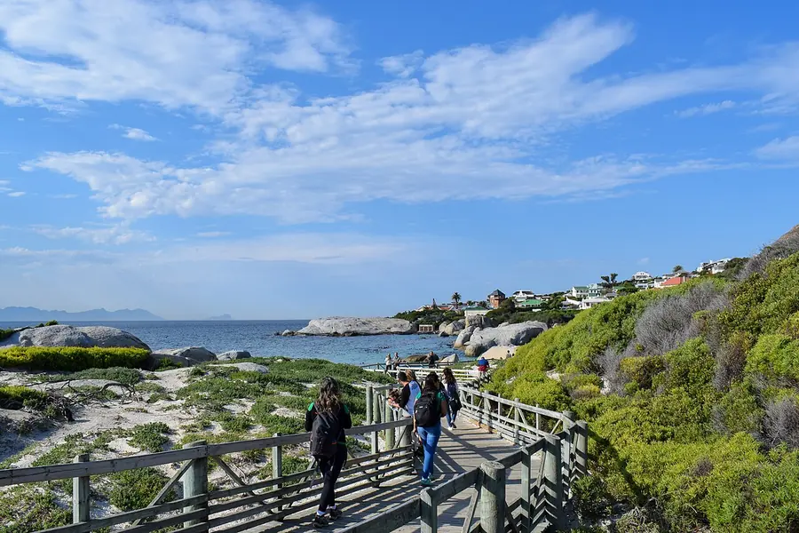 Boulders Beach, Cape Town