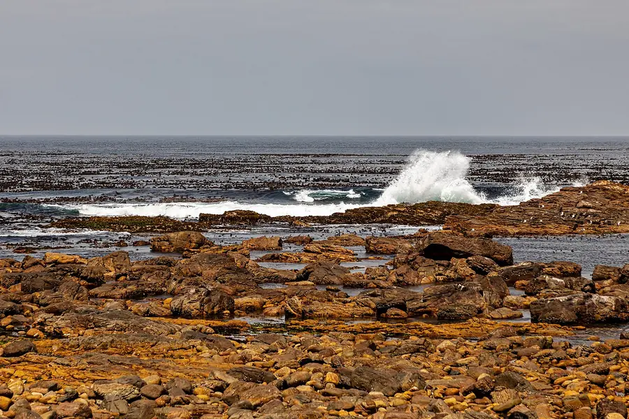 Cape Point + Cape of Good Hope, Cape Town