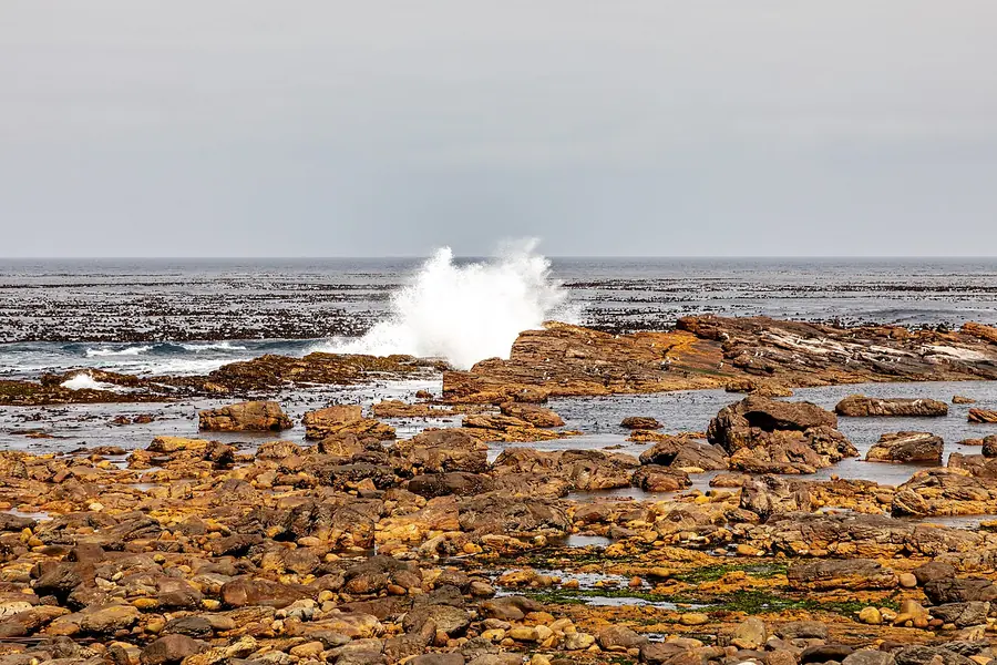 Cape Point + Cape of Good Hope, Cape Town