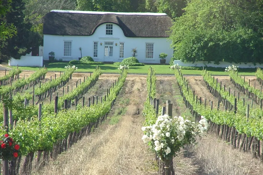Stellenbosch, Cape Town