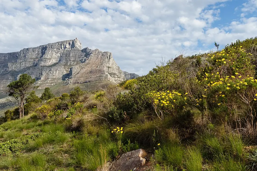Signal Hill, Cape Town