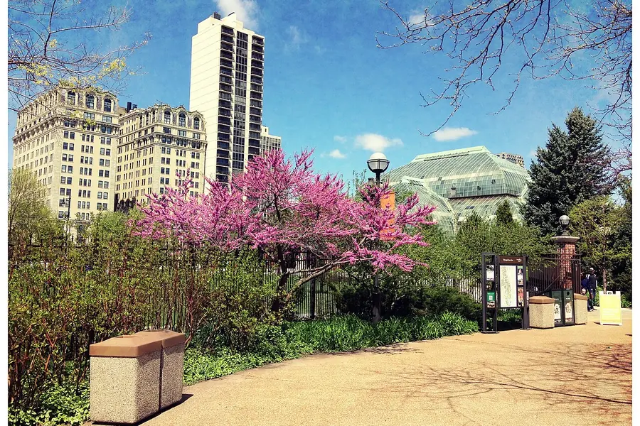 Lincoln Park Zoo + Conservatory, Chicago