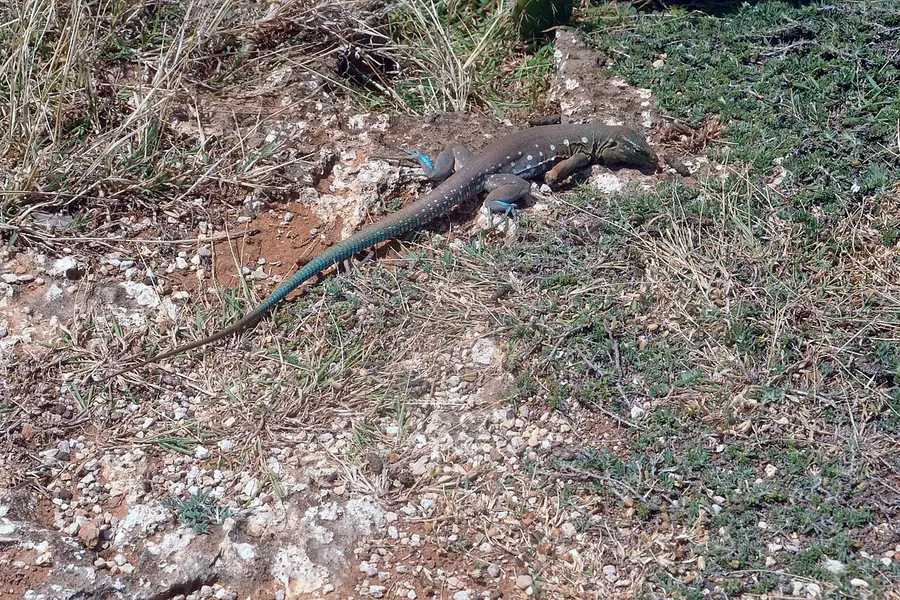 Shete Boka, Curacao