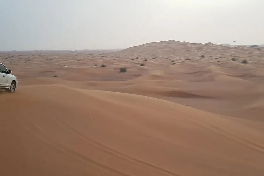 Desert Safari, Dubai