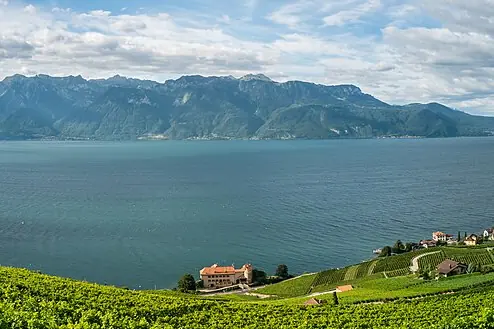 Lavaux Vineyard Terraces, Geneva