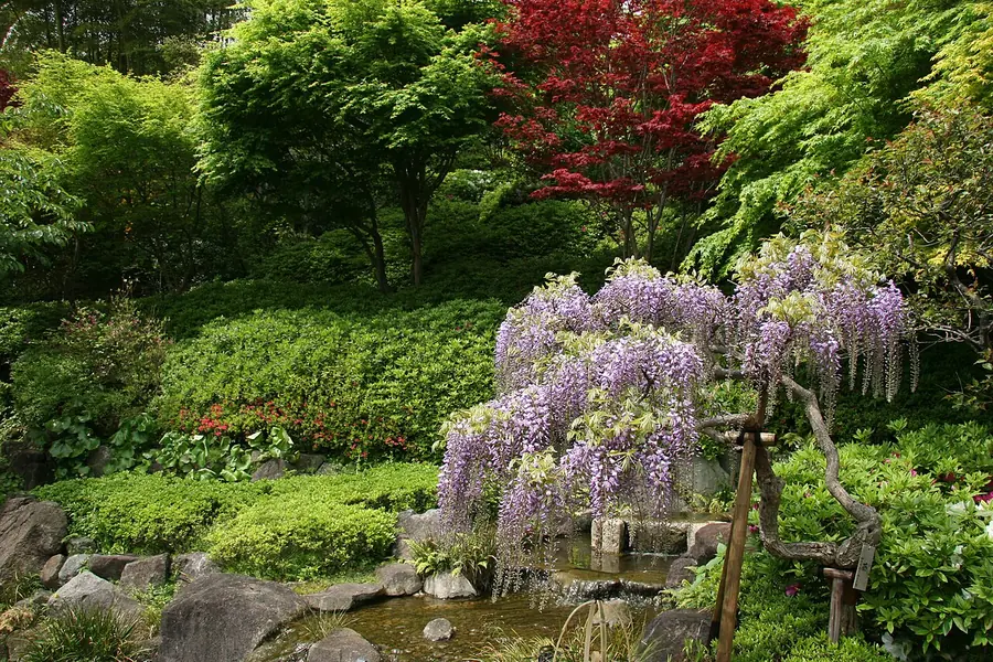 Hasedera Temple, Kamakura