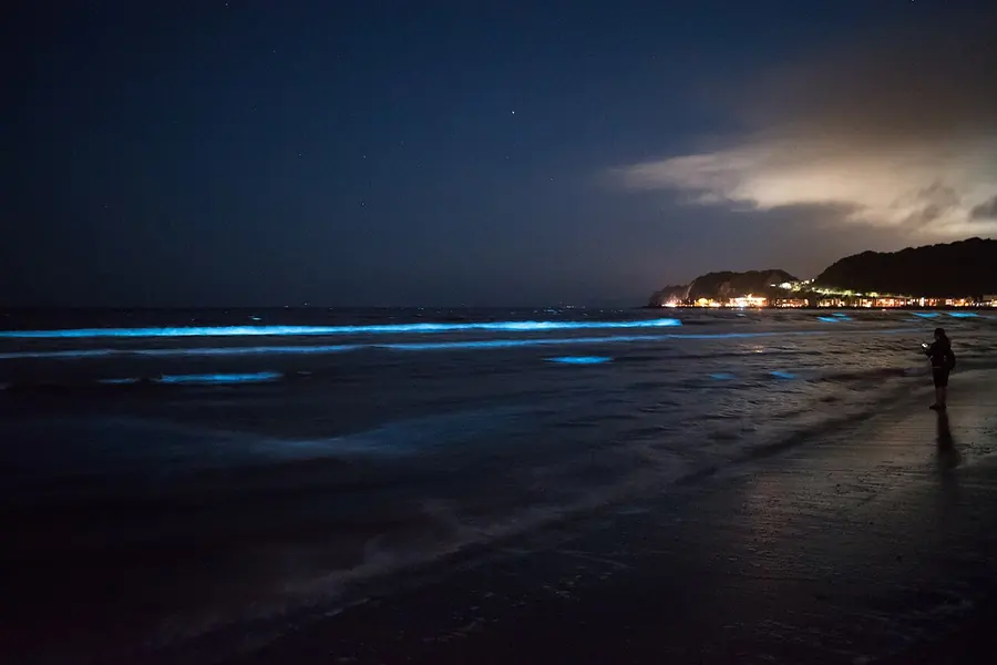 Yuigahama Beach, Kamakura