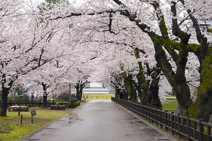 Kanazawa Castle Park, Kanazawa