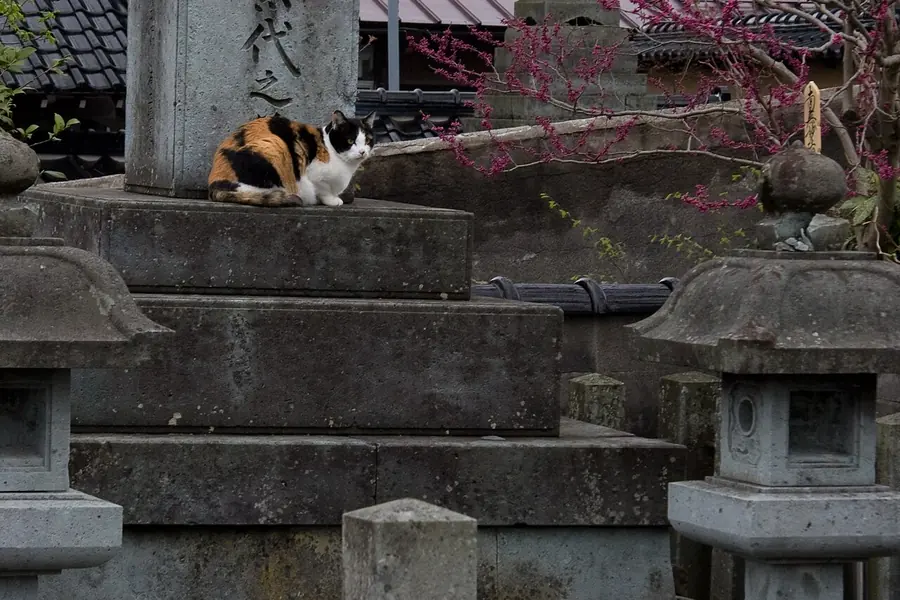 Utatsuyama Temple District, Kanazawa