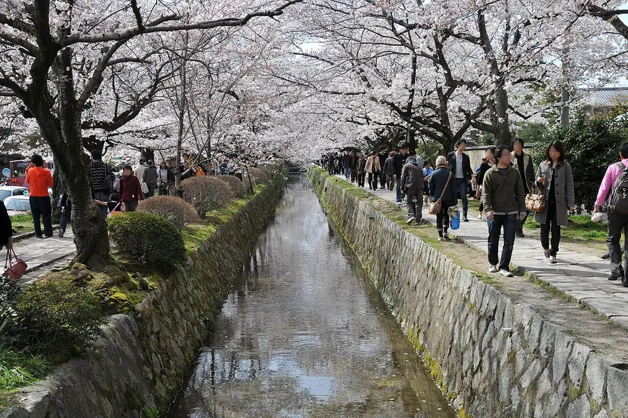 Philosopher's Path, Kyoto