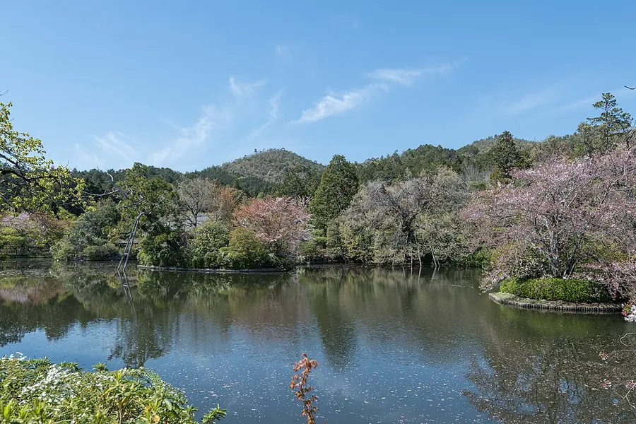 Ryoan-ji, Kyoto
