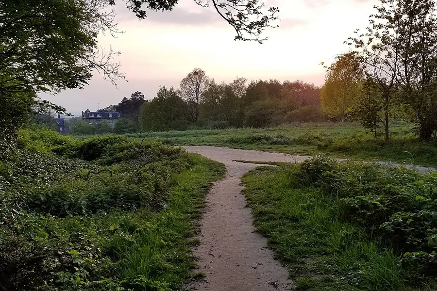 Hampstead Heath, London