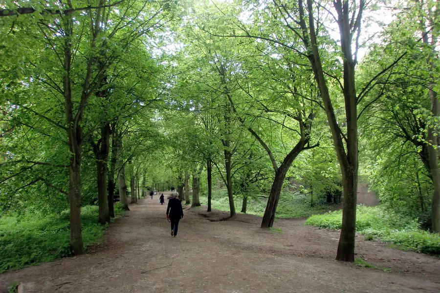 Hampstead Heath, London