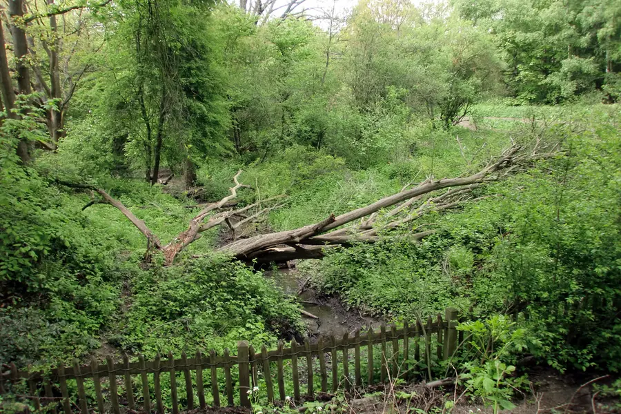 Hampstead Heath, London