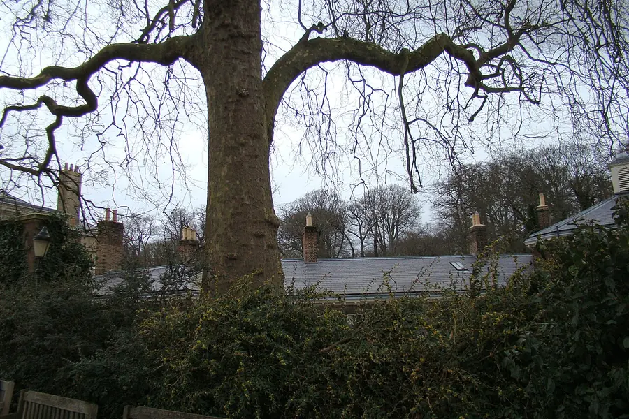 Kenwood House + café, London