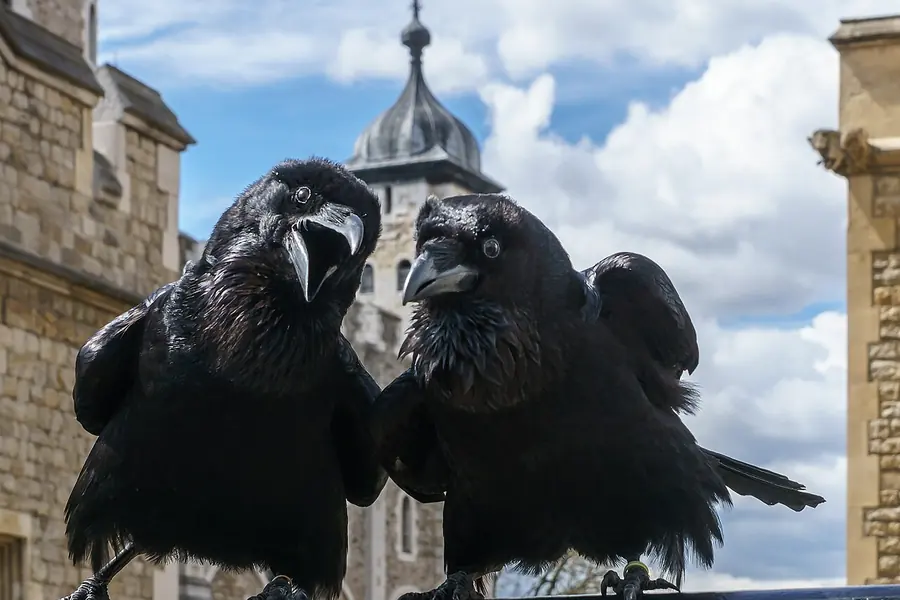 Tower of London, London