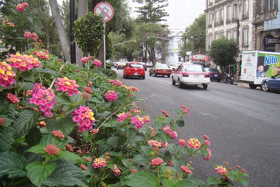 Álvaro Obregón, Mexico City