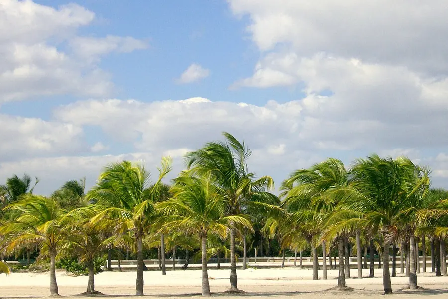 Crandon Park Beach, Miami