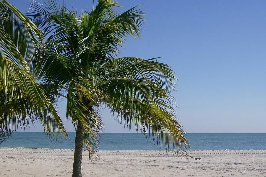 Crandon Park Beach, Miami