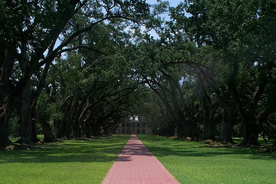 Oak Alley Plantation, New Orleans