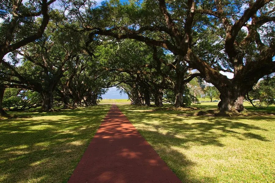 Oak Alley Plantation, New Orleans