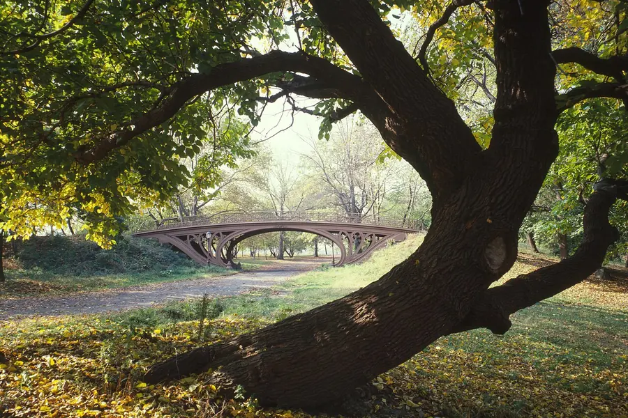 Central Park, New York City