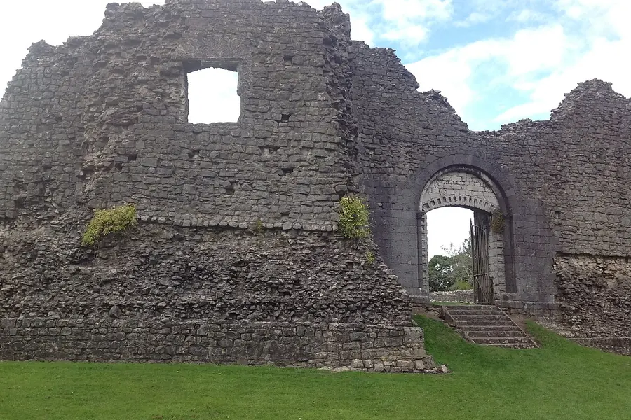 Newcastle Castle, Newcastle