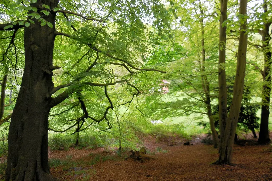 Jesmond Dene, Newcastle