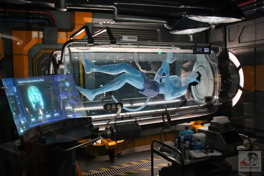 Avatar: Flight of Passage, Orlando