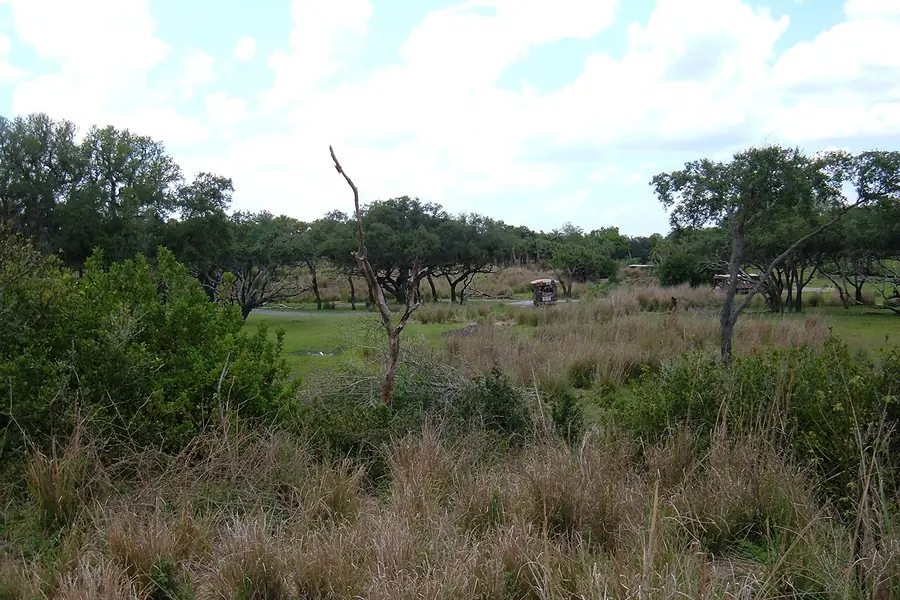 Kilimanjaro Safaris, Orlando