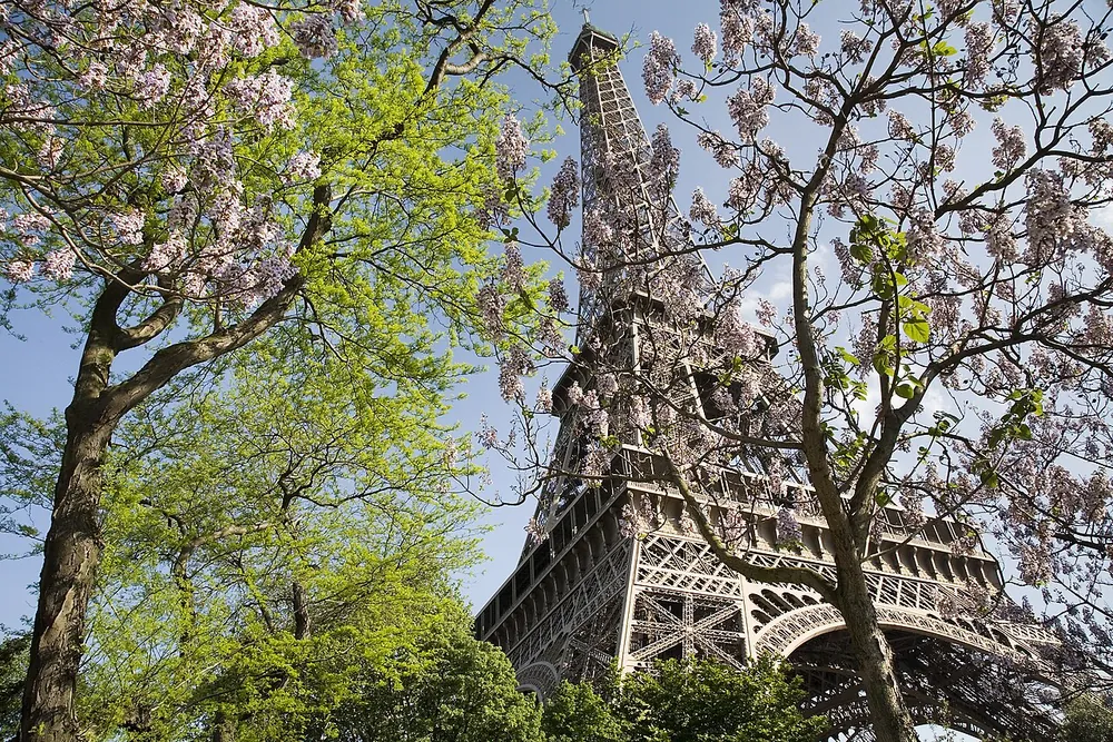 Eiffel Tower (second floor + Champ de Mars picnic), Paris
