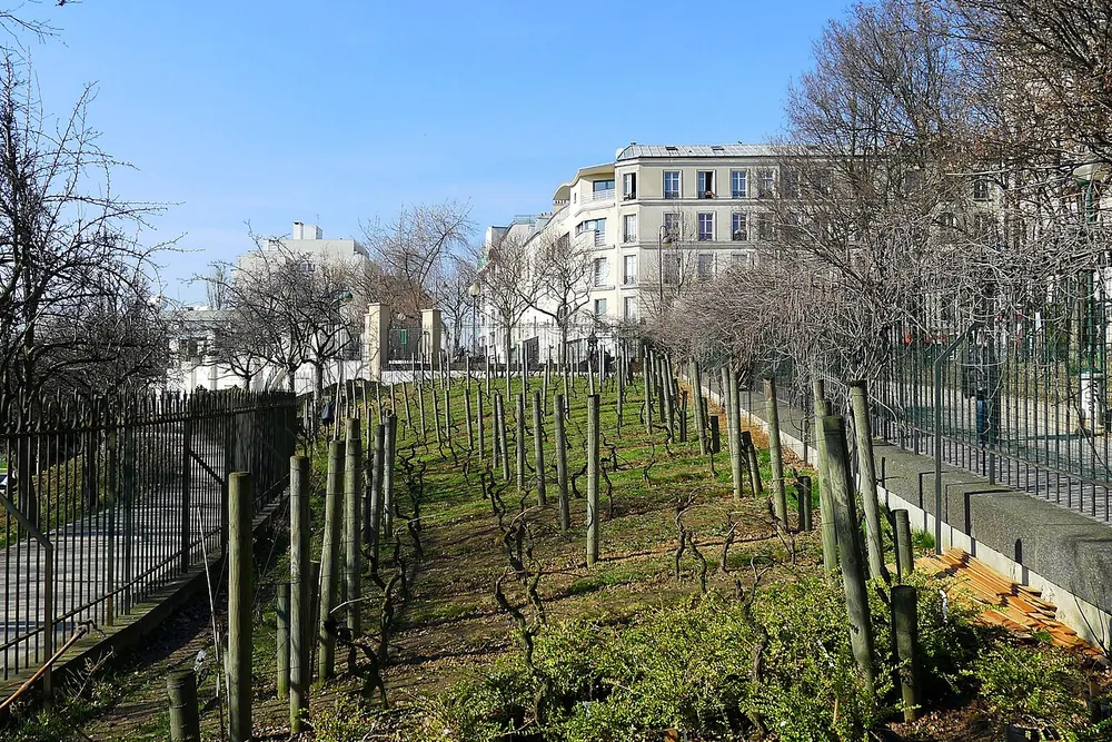 Parc de Belleville — sunset view, Paris
