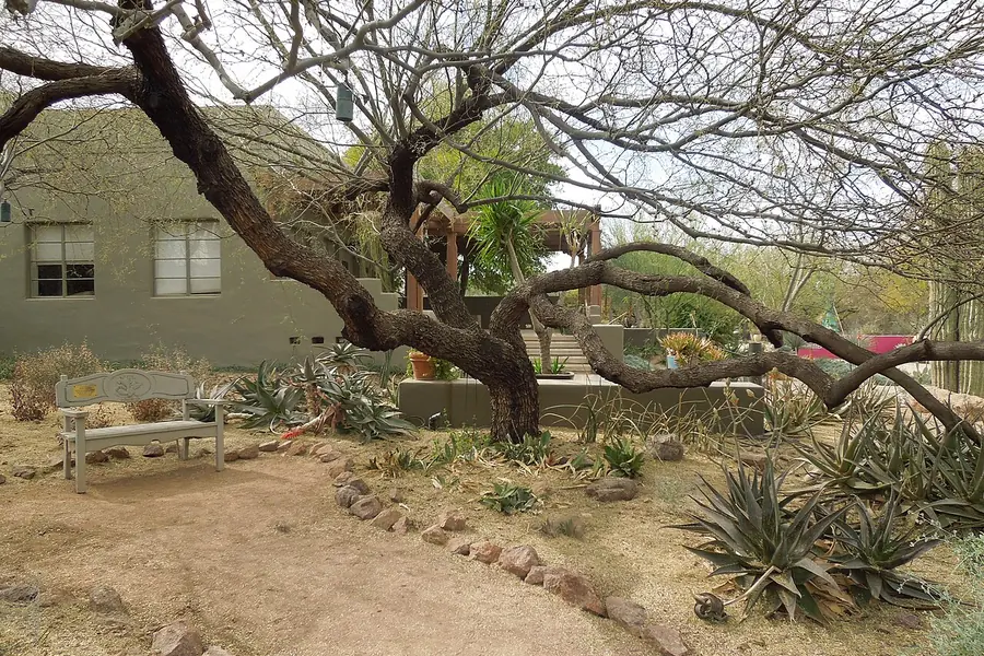 Desert Botanical Garden, Phoenix