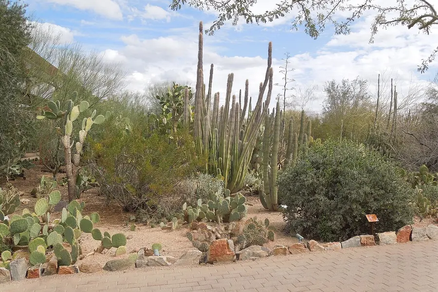 Desert Botanical Garden, Phoenix