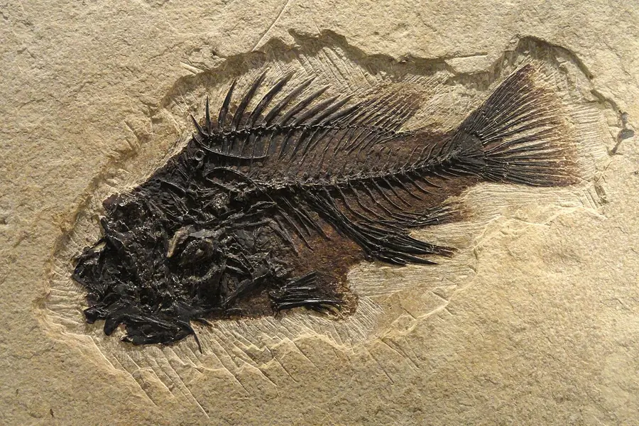 Natural History Museum of Utah, Salt Lake City